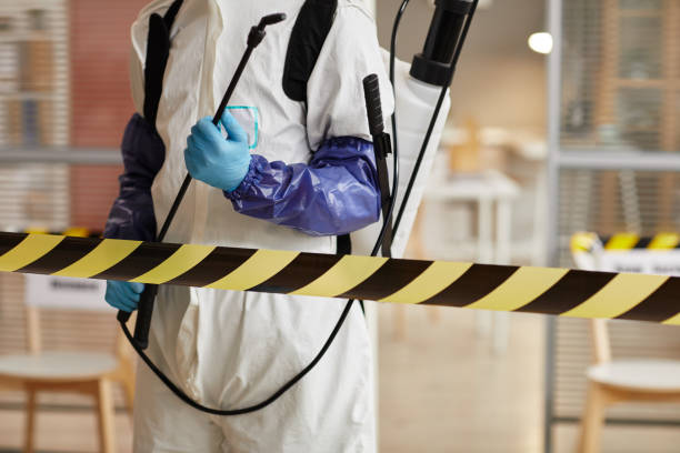 Professional Sewage Cleanup technician working in Kirkwood, MO